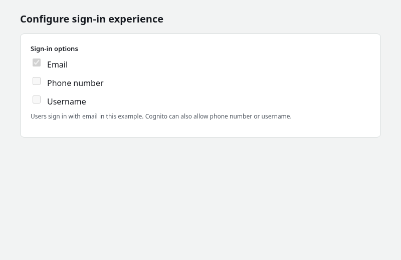 Cognito sign-in experience with email selected