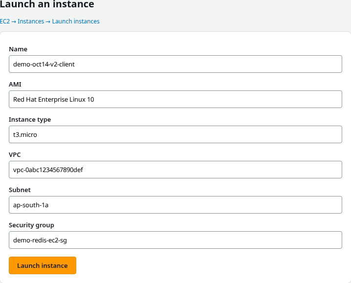 EC2 launch instance in the same VPC and client security group