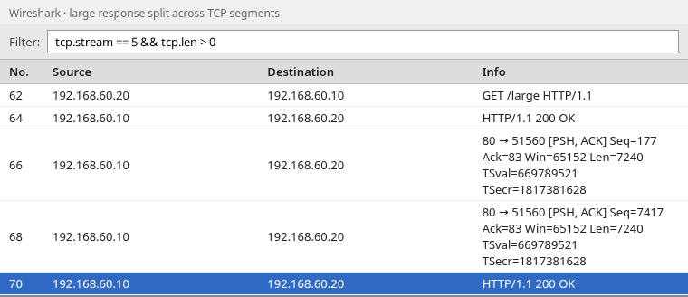 Wireshark packet list for one TCP stream, with the GET /large, two large TCP segments, and the completed HTTP 200