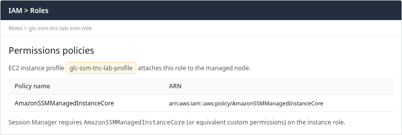 EC2 instance detail showing IAM role glc-ssm-tnc-lab-ssm-role with AmazonSSMManagedInstanceCore for Systems Manager
