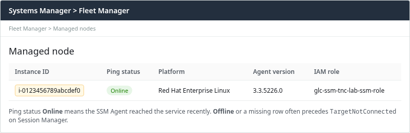 Fleet Manager managed node with Ping status Online for the target RHEL EC2 instance in ap-south-1