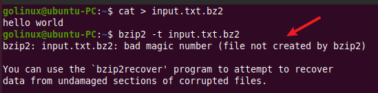 bzip2 command to test integrity of a compressed file