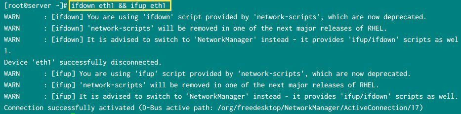 ifup and ifdown interface