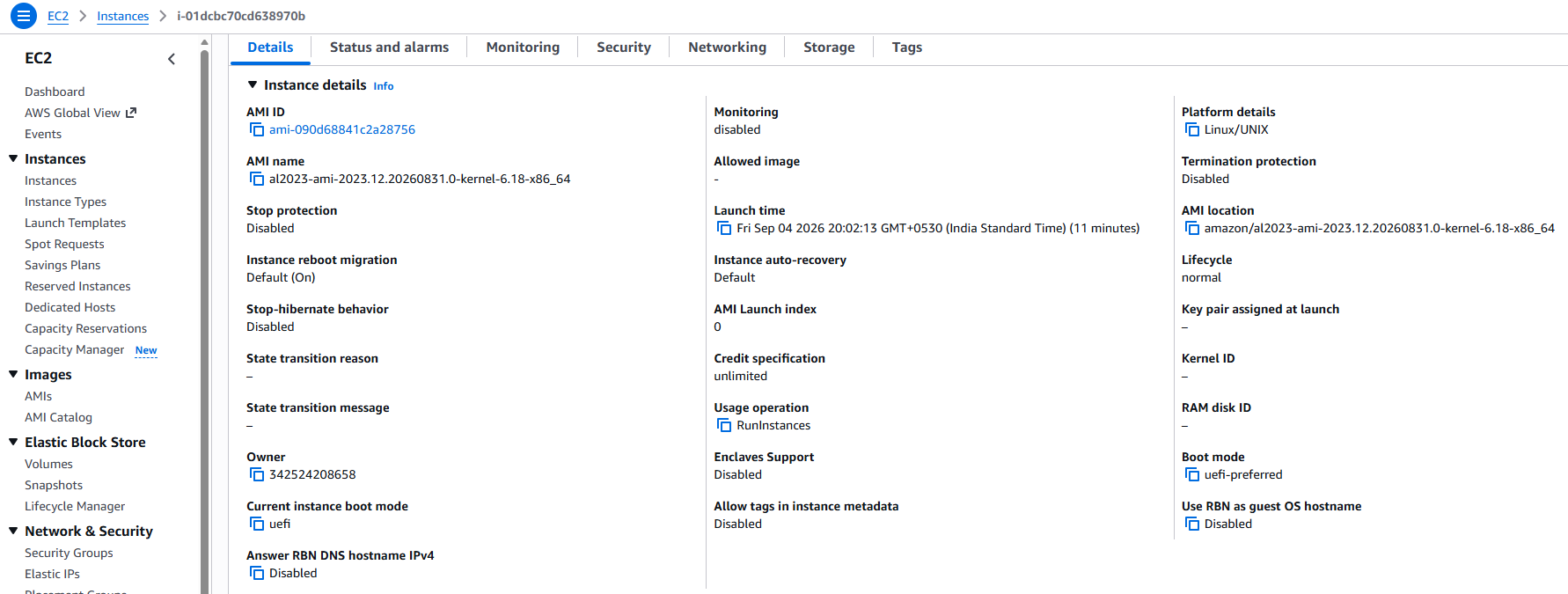 AWS EC2 instance Details tab for i-01dcbc70cd638970b showing Amazon Linux 2023 AMI and platform details