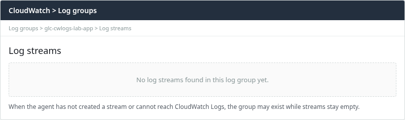 CloudWatch Logs log group with no log streams yet—the group exists but the agent has not created a stream, which points to config, IAM, or connectivity before event content