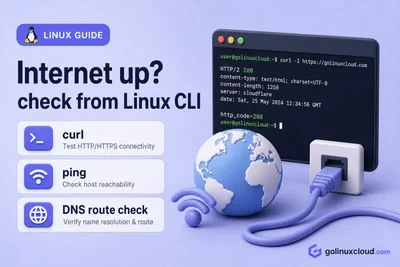 How to Check Internet Connection in Linux Command Line and Shell Script