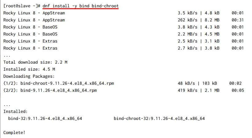 Setup Master Slave BIND DNS server Rocky Linux 8 [Step-by-Step]