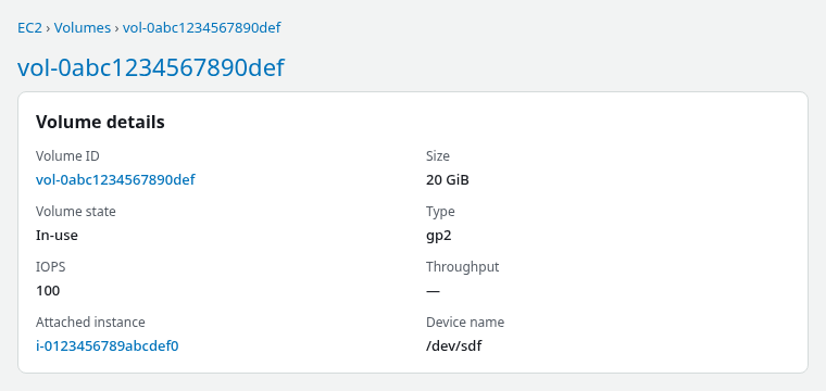 EC2 volume details showing a 20 GiB gp2 data volume in in-use state with 100 IOPS attached to an instance at /dev/sdf