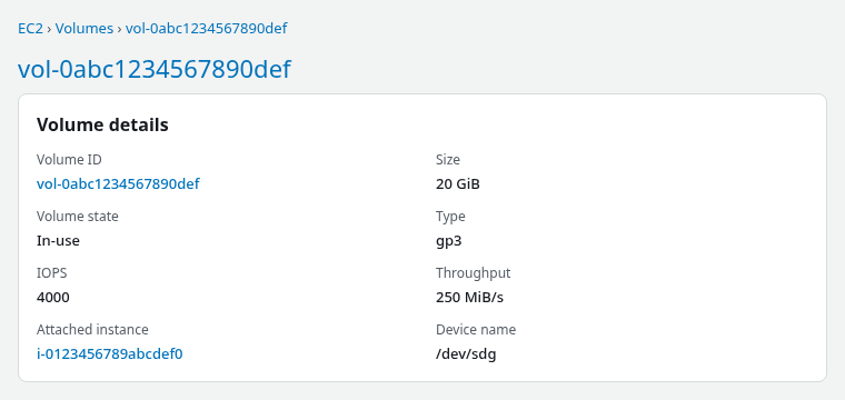 EC2 volume details showing a 20 GiB gp3 data volume in in-use state with 4000 IOPS and 250 MiB/s throughput attached to an instance at /dev/sdf