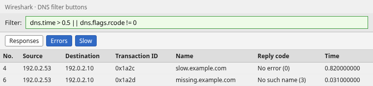 Wireshark filter buttons for DNS errors and slow responses, with both matches visible