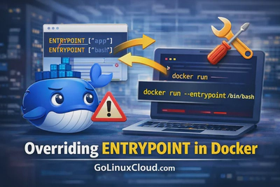 Override Docker Entrypoint (How to Change CMD & ENTRYPOINT with Examples)
