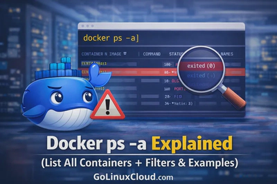 Docker ps -a Explained (List All Containers with Examples & Filters)
