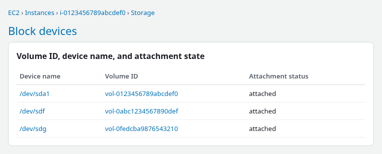 EC2 block device mappings showing /dev/sdf and /dev/sdg attachment names with volume IDs