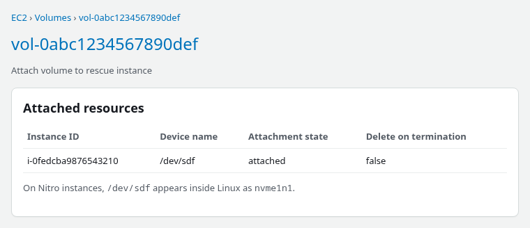 EBS root volume attached to a rescue EC2 instance as secondary storage at /dev/sdf