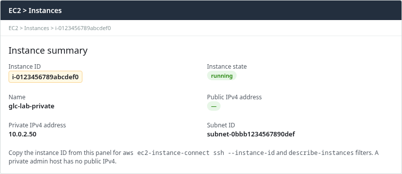 EC2 instance summary showing no public IPv4 and the instance ID to copy for CLI commands