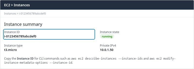 EC2 instance summary highlighting Instance ID for CLI describe-instances and modify-instance-metadata-options commands