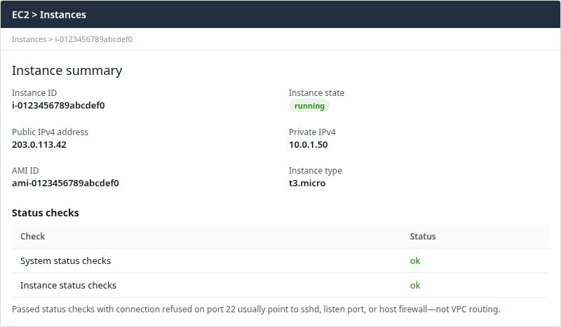 EC2 instance summary with system and instance status checks passed while SSH on port 22 is refused
