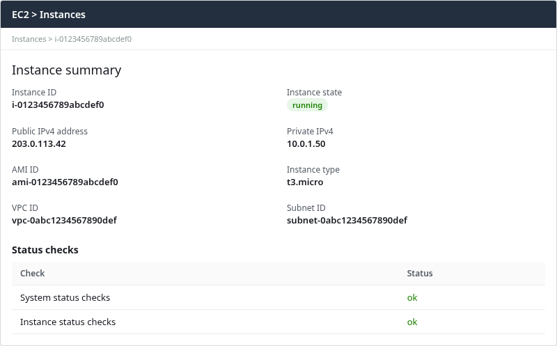EC2 instance summary showing running state, public IPv4 address, and passed system and instance status checks