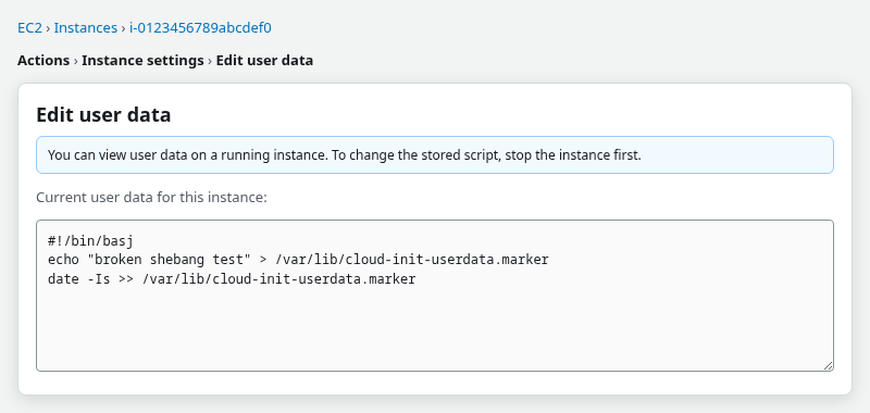 EC2 Edit user data dialog showing the stored shell script on a running instance