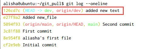 git fetch vs git pull Explained [With Examples]