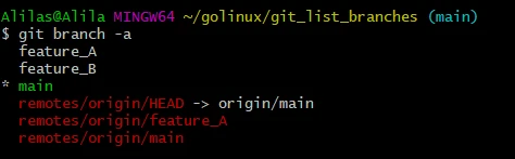 git list branches with -a flag