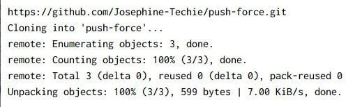 git push force Explained [With Examples]
