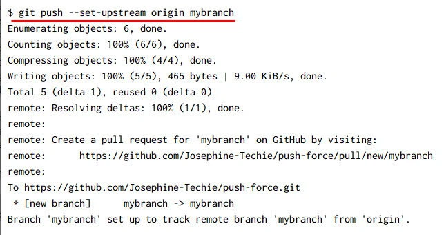 git push force Explained [With Examples]