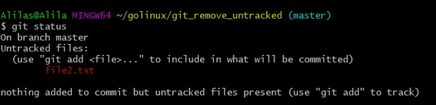 Git remove untracked files simplified [Do's & Don'ts]