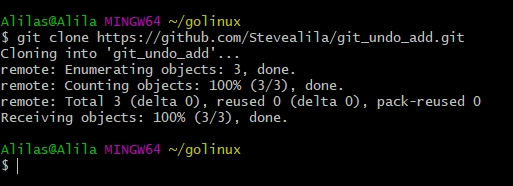 How to perform git undo add PROPERLY [5 Examples]