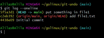 git undo commit before push [Practical Examples]