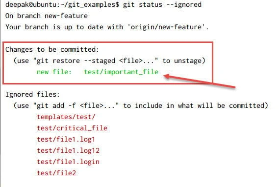 gitignore usage explained in detail [With Examples]