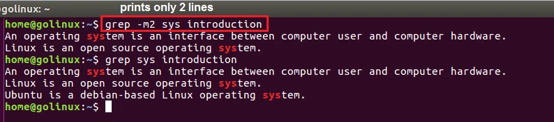 grep -m2 command output