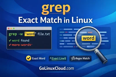 grep Exact Match in Linux (Match Whole Word or Exact String)