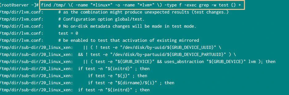 Find with exec to search recursively