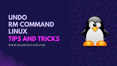 How to undo rm in Linux? [100% Working]