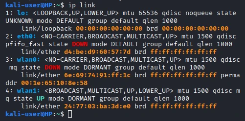 Install Airmon-ng Kali Linux [2 Methods with Examples]