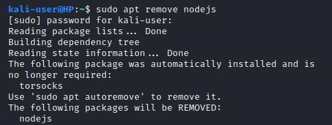 Install Node.js and NPM Kali Linux [Step-by-Step]