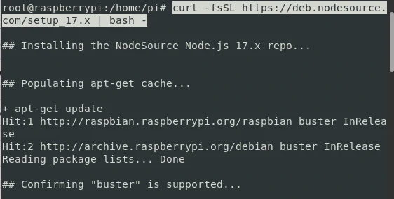 Install Nodejs and NPM on Raspberry Pi [Step-by-Step]
