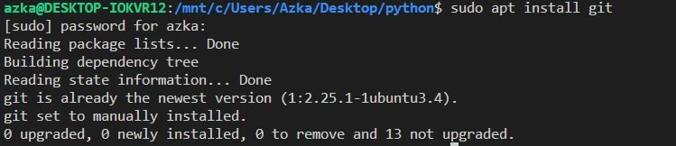 install python package from github
