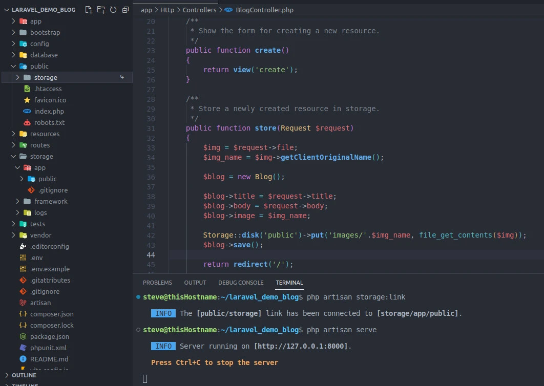 Using public Laravel storage::disk