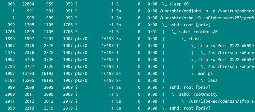 5 practical examples to list running processes in Linux