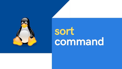 15+ Tips to PROPERLY sort files in Linux [Cheat Sheet]