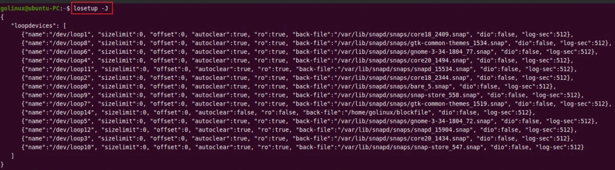 print the list of loop devices in json format