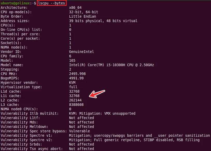 lscpu command to print sizes in bytes