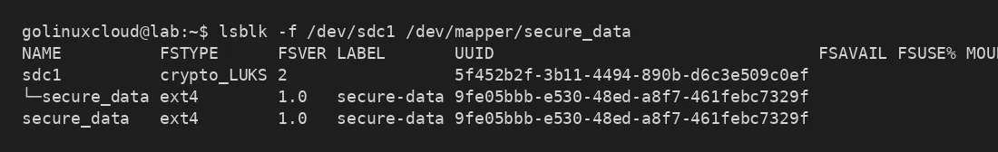 LUKS partition and unlocked ext4 mapper