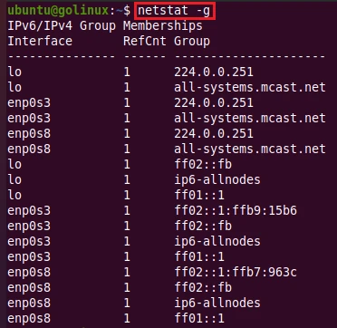netstat command to display multicast group membership