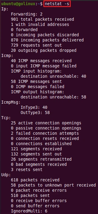netstat command to display statistics of protocol