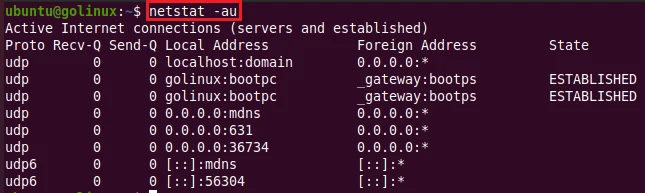 netstat command to display all udp connections
