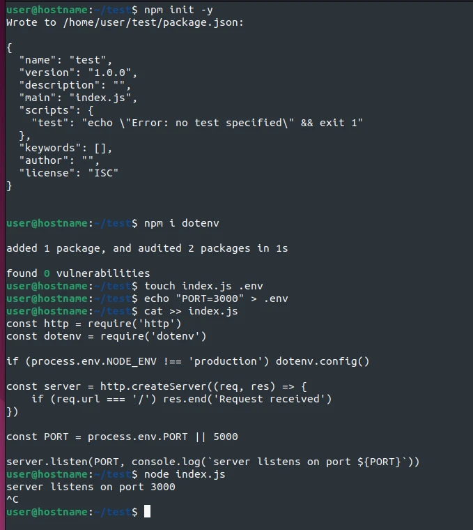 Node.js read env var