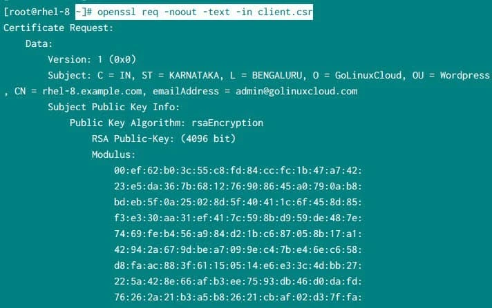 openssl view certificate